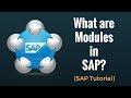 What are sap modules complete overview