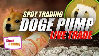 DOGE PUMP LIVE TRADE | SAMPLE TRADE | MANUAL TRAILING STOP STRATEGY | BEST EXAMPLE | POSITION TRADE