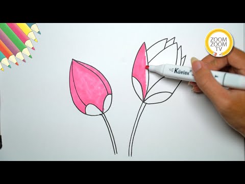 Hướng dẫn cách vẽ BÚP SEN đơn giản - How to lotus bub | Zoom Zoom TV