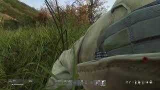 видео: DayZ Выживаем на DE 2599 картинка: DayZ Выживаем на DE 2599