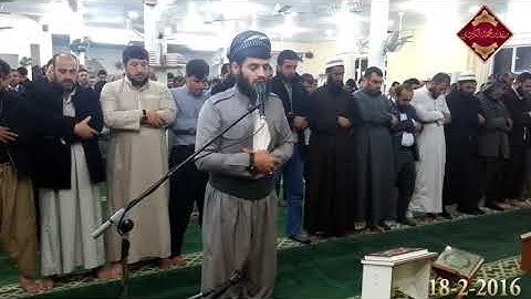 شيخ رعد الكردي حالات واتس اب | سورة: (القصص: ٧٦)