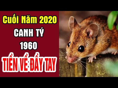 Chúc Mừng Tuổi "CANH TÝ 1960" Cuối Năm 2020 Được Lộc Trời Cho Giàu Sang Phú Quý Trọn Đời | PTLT | size m váy là bao nhiêu kg