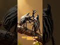 Escarabajo Goliat: El gigante de las selvas de África 🐦🪲 #curiosidades #datoscurisos #animals