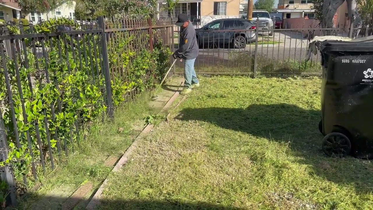 TRANSFORMING A YARD BEFORE & AFTER #lawncare  #landscape