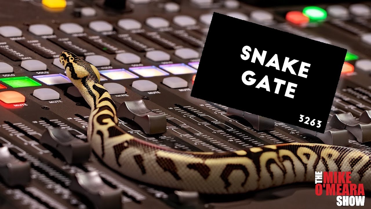 Ep. 3263 : Snake-GATE!