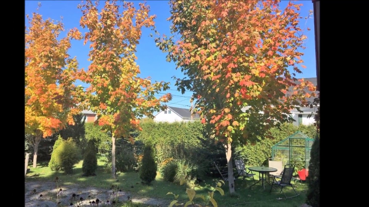 71 Avenue Champlain, Mont Joli Centris 26569379 YouTube