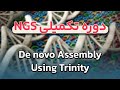 دوره تکمیلی توالی یابی NGS - روش انجام De novo Assembly توسط نرم افزار Trinity