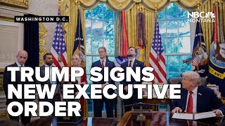 Trump signs EO targeting domestic terrorism networks, political violence
