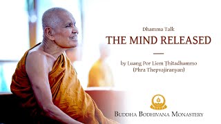 The Mind Released - A Dhamma Talk in Thai and English by LuangPorLiem screenshot 3