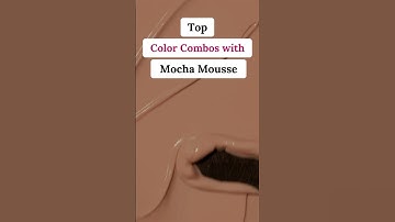 Mocha Mousse, but make it stylish ☕✨#colors #mochamousse #home