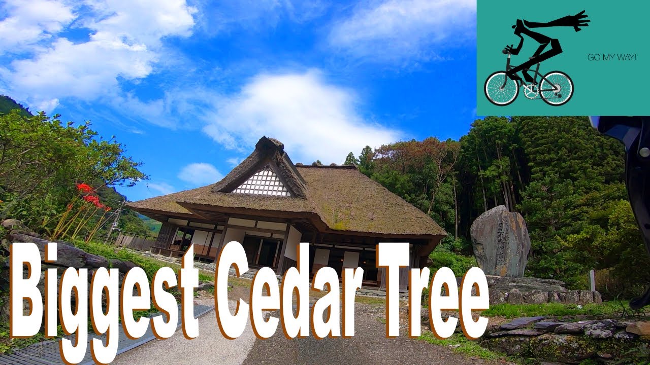 🚴 40min cycling with me ①🚴 [ stationary bike workout ] YouTube