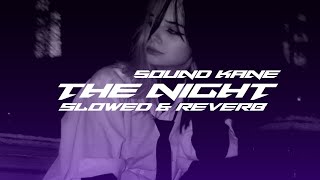 DJ THE NIGHT X ONE DAY🎶 || ( SLOWED & REVERB ) SOUND KANE VIRAL TIKTOK🔥