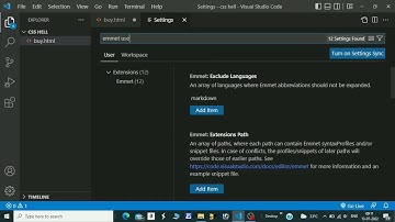 fix Emmet not working in html VS Code