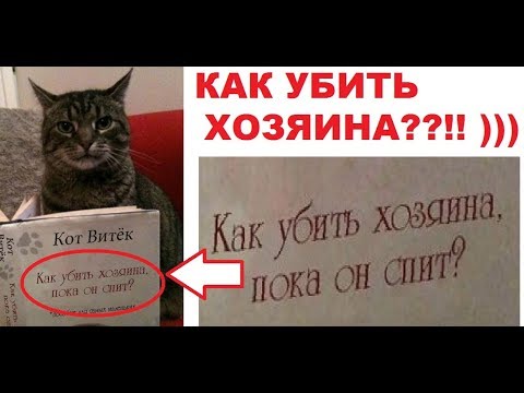 Лютые приколы. Кот хочет убить хозяина!!!:)))