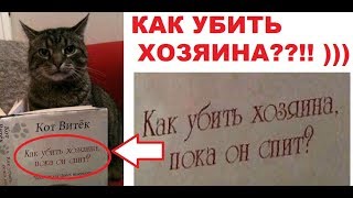 Лютые приколы. Кот хочет убить хозяина !!! :)))