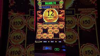 $50/BET on Dragon Link 🔥