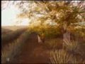 Ay Gaviota - Angélica Rivera