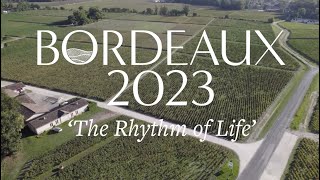 Bordeaux 2023: The Clos Report