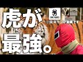 最強の中華ブランドが決まりつつある件