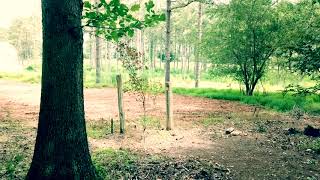 Front Yard Drone Stonebridge Raleigh NC