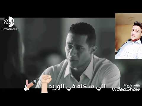 شوقي ليك عمال يزيد