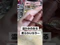 【キャンメイク】【セザンヌ】本当に良い新作はどれ?!