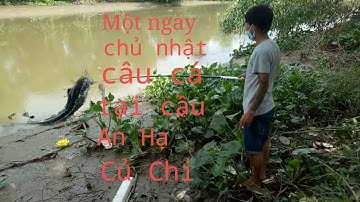 Một ngày chủ nhật đi câu cá tại cầu an hạ củ chi