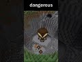 Hidden Pillager Outpost | Minecraft Seed