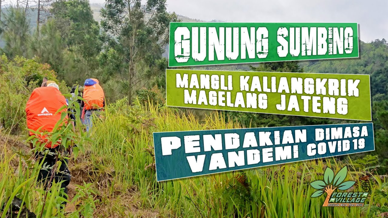 PENDAKIAN GUNUNG SUMBING VIA DESA MANGLI KALIANGKRIK MAGELANG JAWA