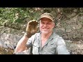 A Super Metal Detecting Adventure