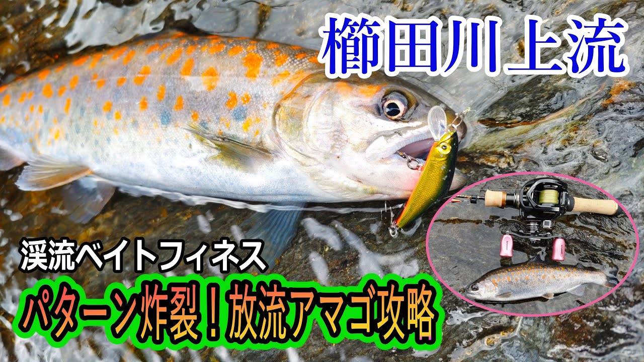 櫛田川上流アマゴ解禁でベイトフィネス！2022年の渓流アマゴ釣りはフォールさせるが勝ちでした！