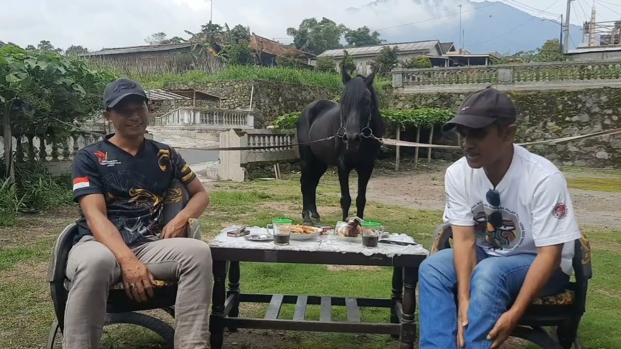 LEGENDARIS KUDA SANDEL JUARA #tegalwaton #jatengderby #kuda #shorts #viral #fyp #animals #kuda 