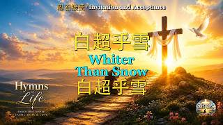 H204: 白超乎雪 | Whiter Than Snow | 白超乎雪