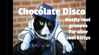 Groovy deep house grooves: Chocolate Disco #08