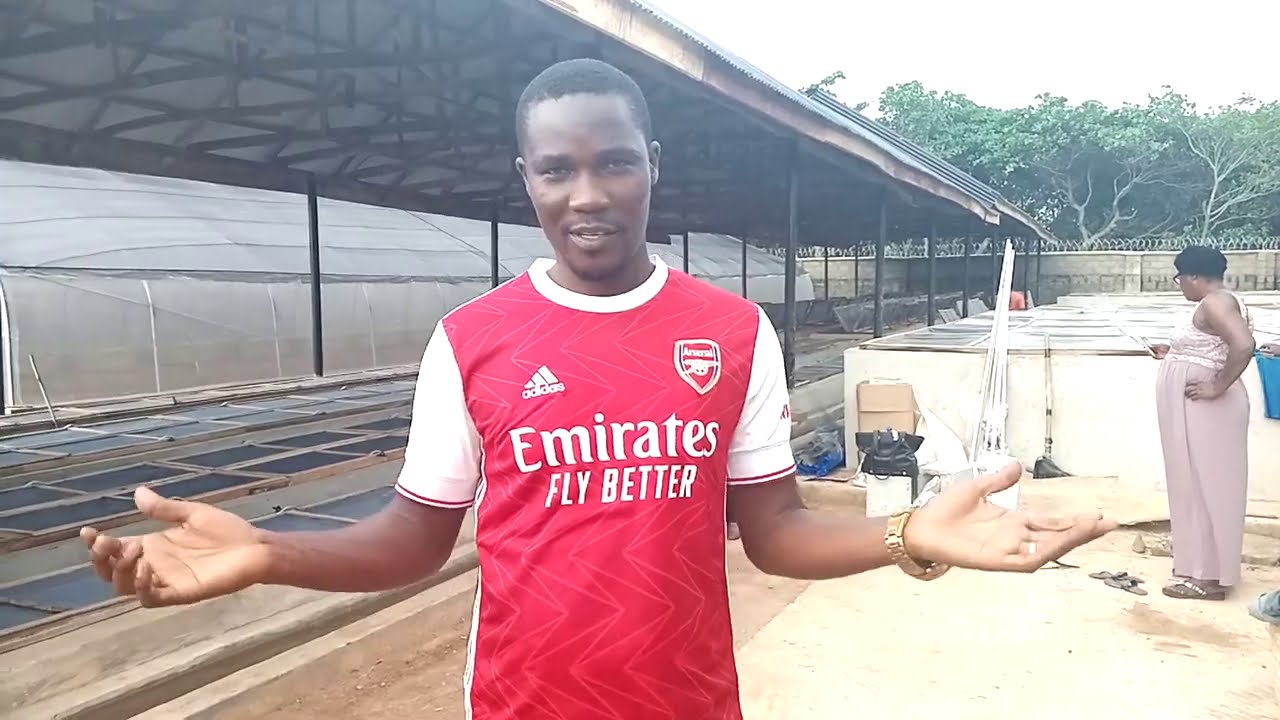 Fish Farm | Snail Farm in one Location