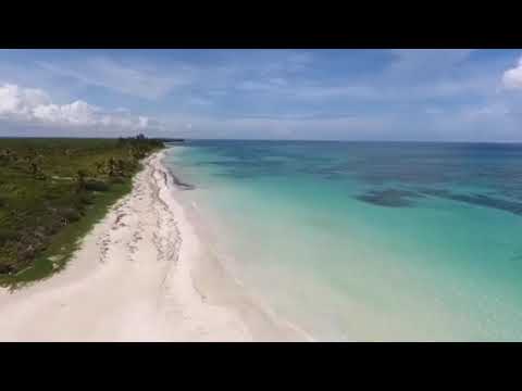 D'blyfs - hanya sebatas khayalan 