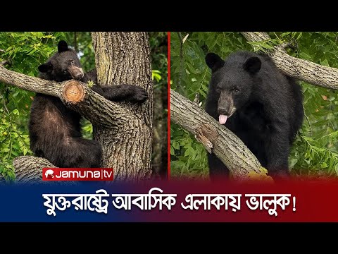 ভিডিও: ব্রুকল্যান্ড, ওয়াশিংটন, ডিসি-তে করণীয় শীর্ষ 9টি জিনিস