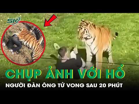 Man dies 20 minutes after climbing into tiger enclosure to dance and take photos | SKDS