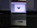 Butterfly symbol Ms word shortcut key #shorts #computer #tipsandtrick