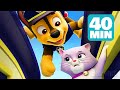 Toutes Les Meilleurs MISSIONS De La PAT PATROUILLE Compilation De 40 Minutes 