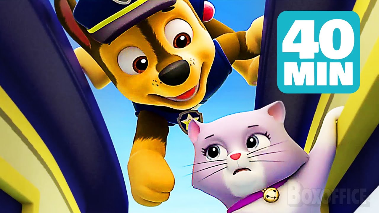 Toutes les Meilleurs MISSIONS de la PAT' PATROUILLE 🌀 Compilation de 40 Minutes !