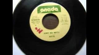 Skye - Ain't no need