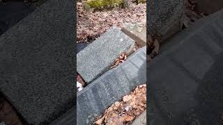 VID20240207150329