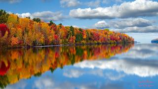 Photograph like a pro using Midwest Imagery's amazingly easy Essentials of Photography!