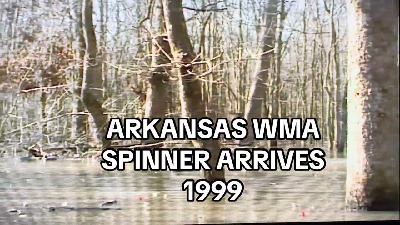 Spinning Wing Decoys Arrive In Arkansas 1999 