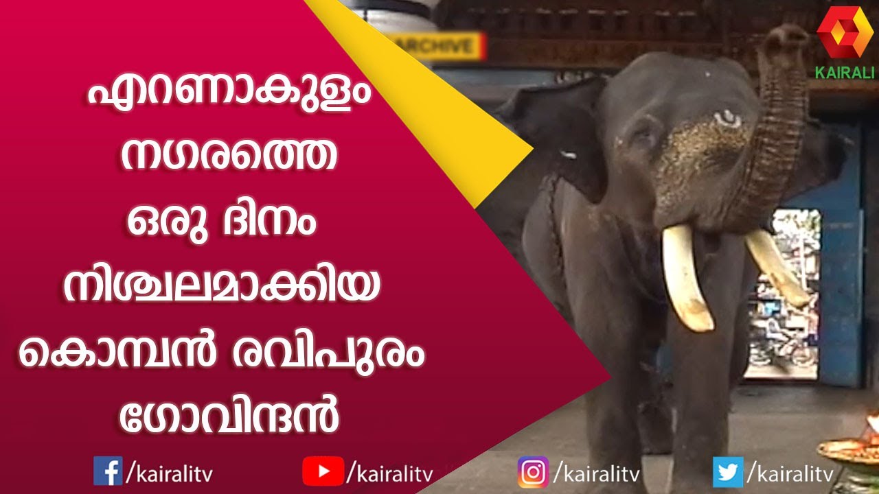എറണാകുളം നഗരത്തെ വിറപ്പിച്ച രവിപുരം ഗോവിന്ദൻ | Ravipuram Govindan Part 1| E for Elephant |Kairali TV