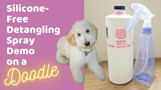 Is Silicone-Free Dog Detangler Spray Effective? Marsh-Mello Dematt Demo on a Goldendoodle by Doodle Doods 1,561 views 3 years ago 4 minutes, 35 seconds