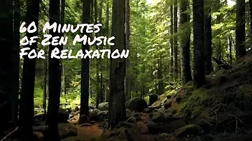 60 Min Zen Music To Relax To!