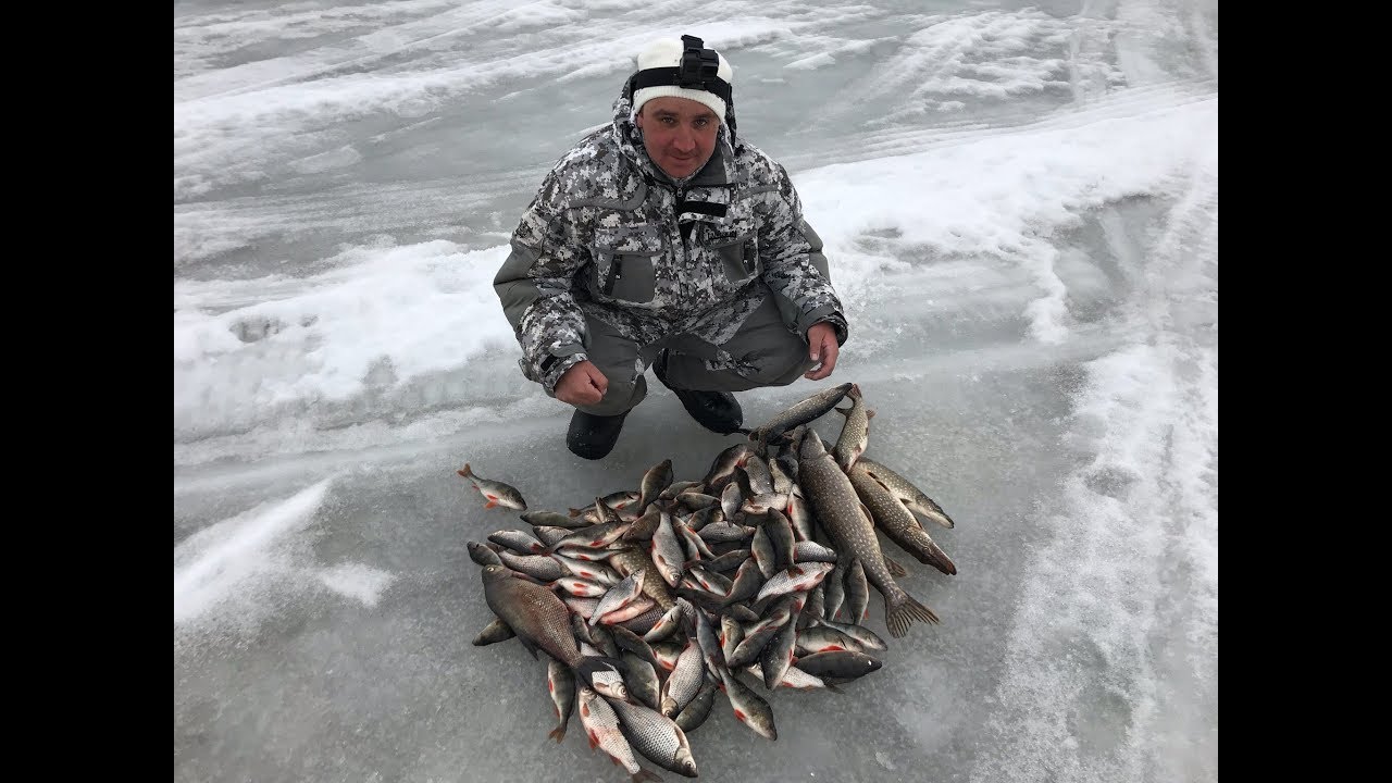 Запрет выхода на лед рыбинское водохранилище