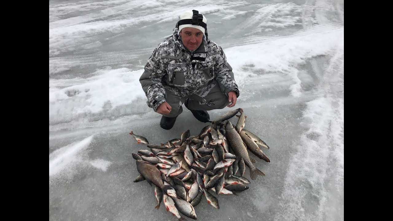 Запрет выхода на лед рыбинское водохранилище. Зимняя рыбалка на Рыбинском водохранилище 2020. Рыбинское водохранилище трофеи. Рыбинское водохранилище зимняя рыбалка. Плотва на Рыбинском водохранилище.